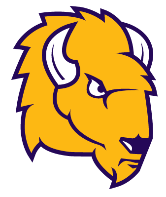 Lipscomb Bisons 2012-Pres Secondary Logo DIY iron on transfer (heat transfer)